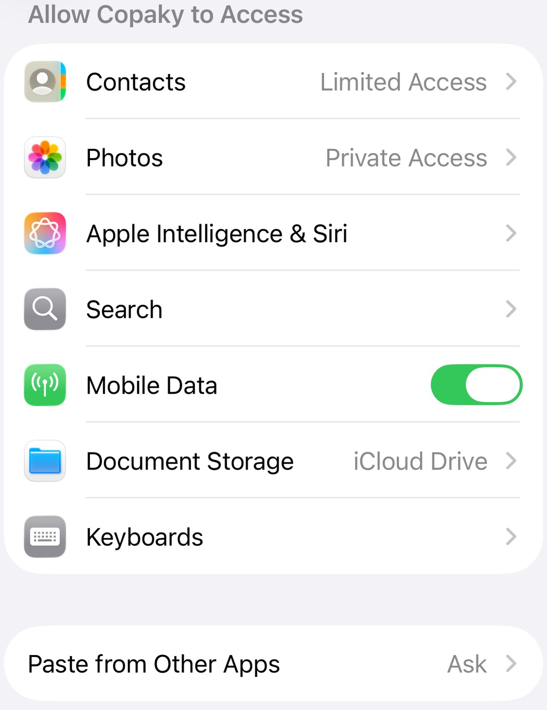 The Paste from Other Apps row in Copaky's Settings