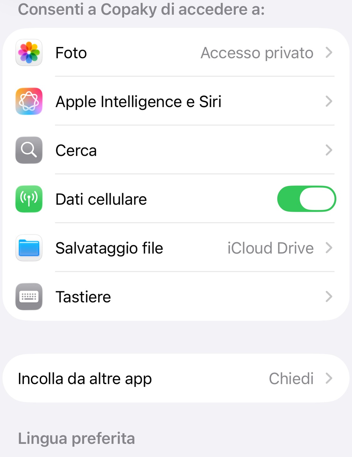 La riga «Incolla da altre app» nelle Impostazioni di Copaky